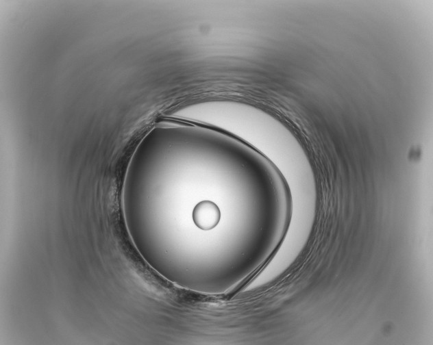 X0000094220411200711021144