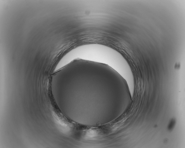 X0000094220412200711021144