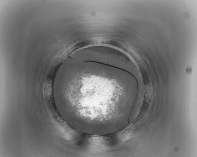 X0000094220413200711021144