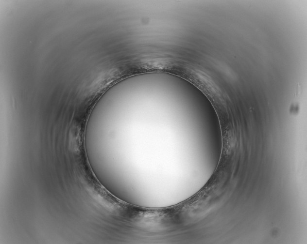 X0000094220414200711021144