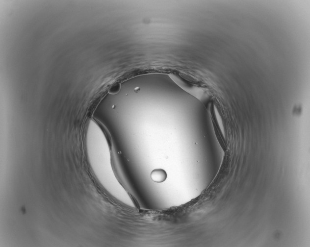 X0000094220415200711021144