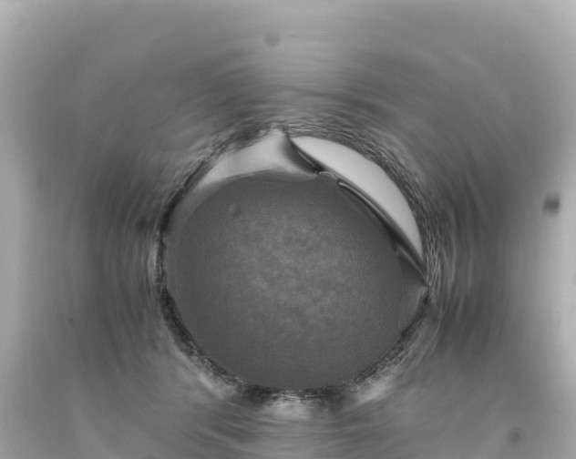 X0000094220416200711021144