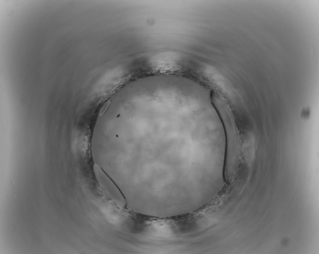 X0000094220417200711021144