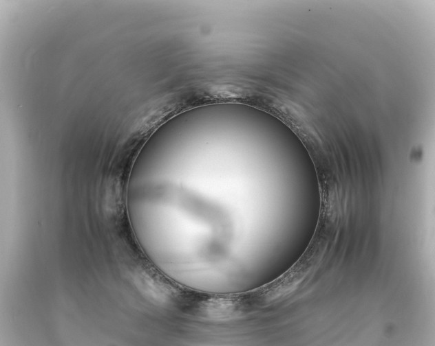 X0000094220418200711021144