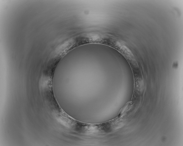 X0000094220419200711021144