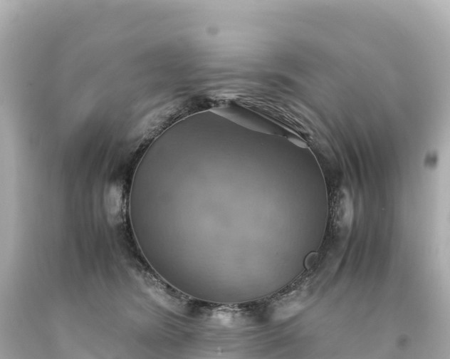 X0000094220420200711021144