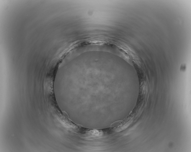 X0000094220421200711021144