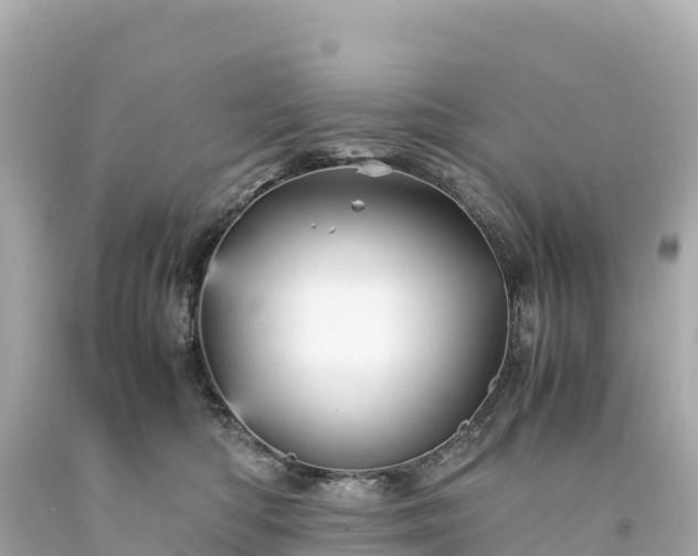 X0000094220422200711021144