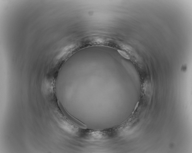 X0000094220423200711021144