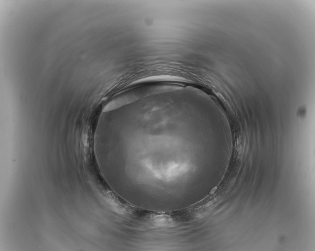 X0000094220424200711021144