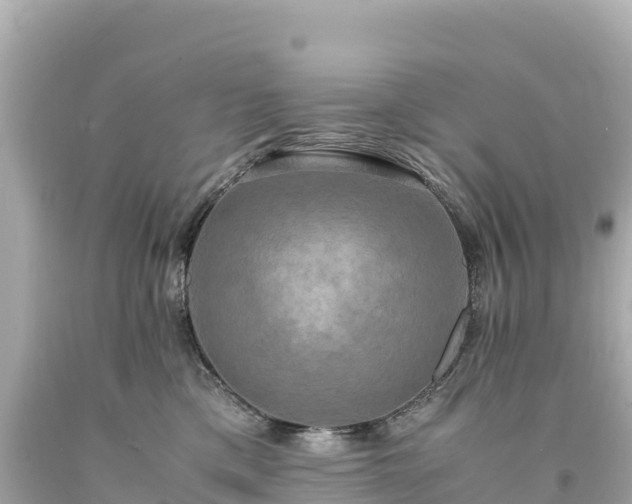 X0000094220425200711021144