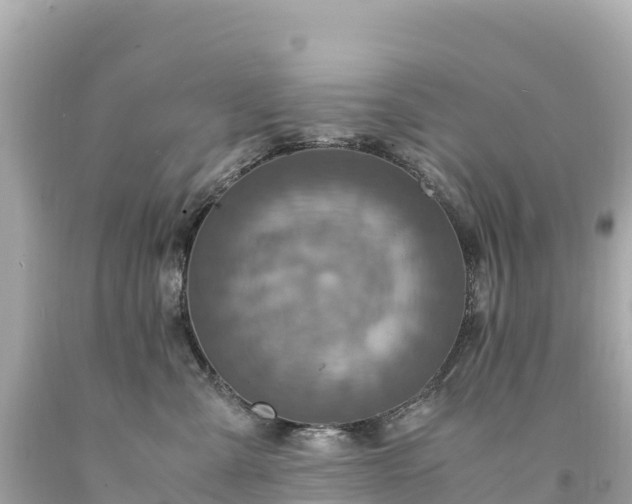 X0000094220427200711021144