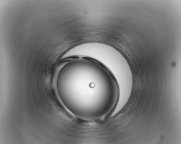 X0000094220428200711021144