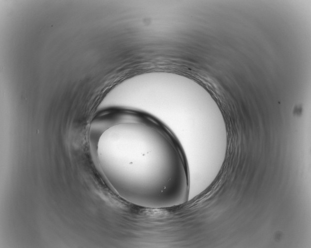 X0000094220429200711021143