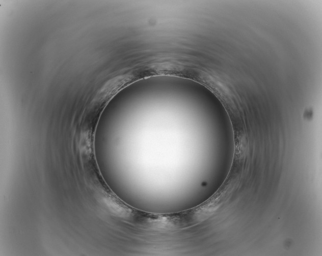 X0000094220430200711021143