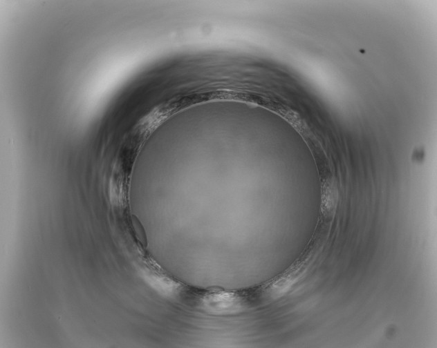 X0000094220431200711021143