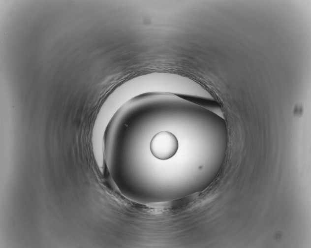 X0000094220432200711021143