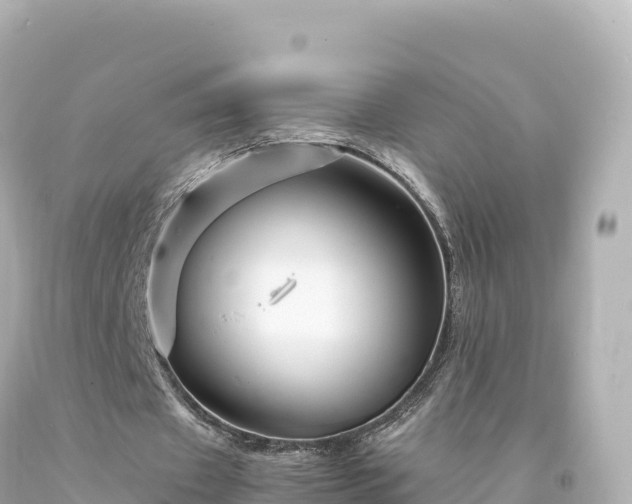 X0000094220433200711021143