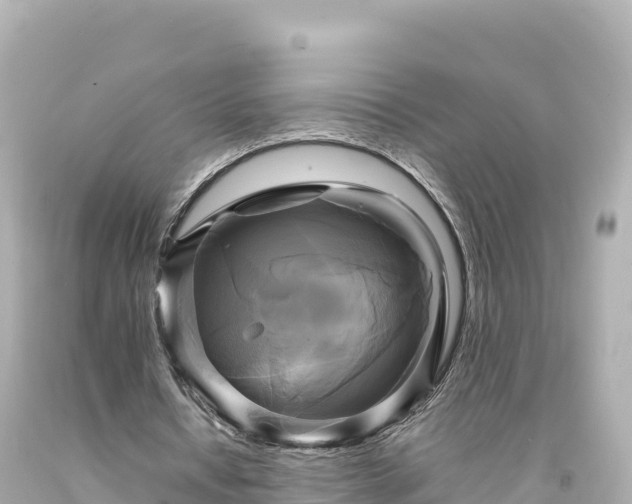 X0000094220434200711021143