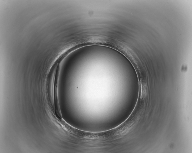 X0000094220435200711021143