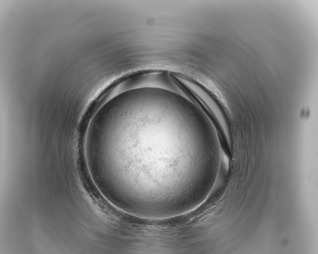 X0000094220436200711021143