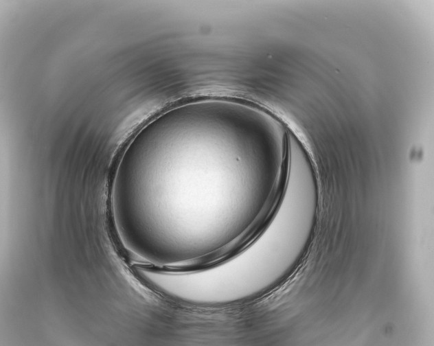 X0000094220437200711021143