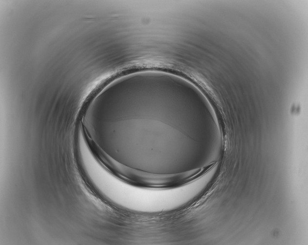 X0000094220438200711021143