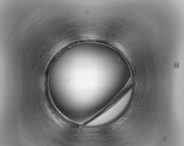 X0000094220439200711021143