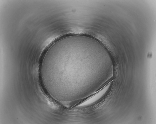 X0000094220440200711021143