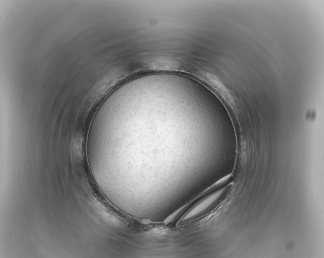 X0000094220441200711021143