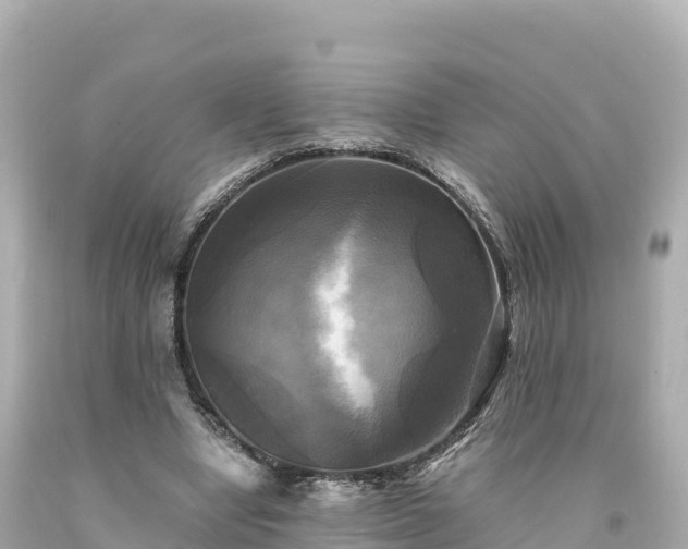 X0000094220442200711021143