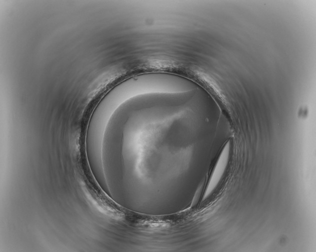 X0000094220443200711021143