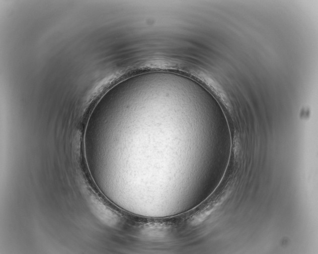 X0000094220445200711021143