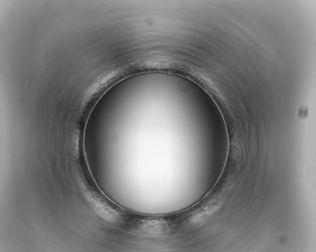 X0000094220446200711021143