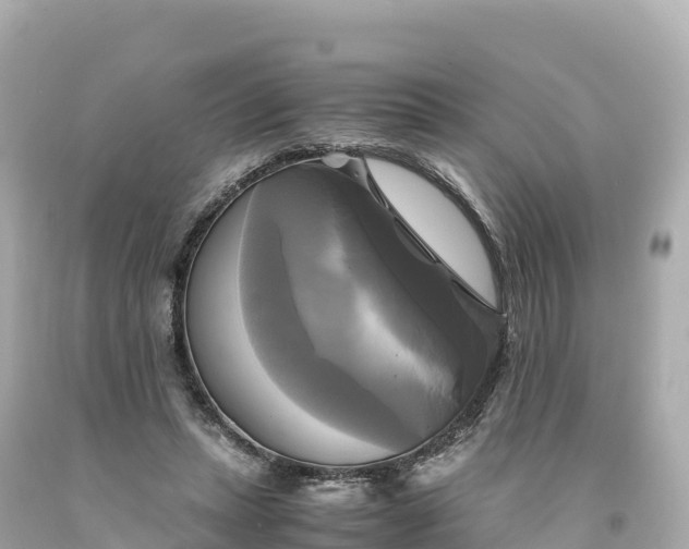 X0000094220447200711021143