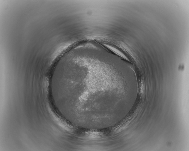 X0000094220448200711021143