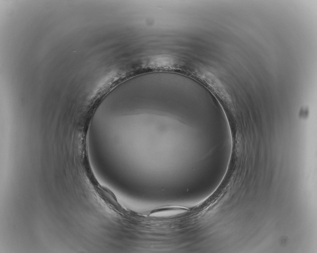 X0000094220449200711021143