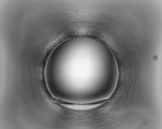 X0000094220450200711021143