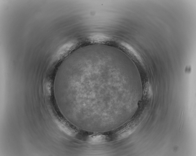 X0000094220452200711021143