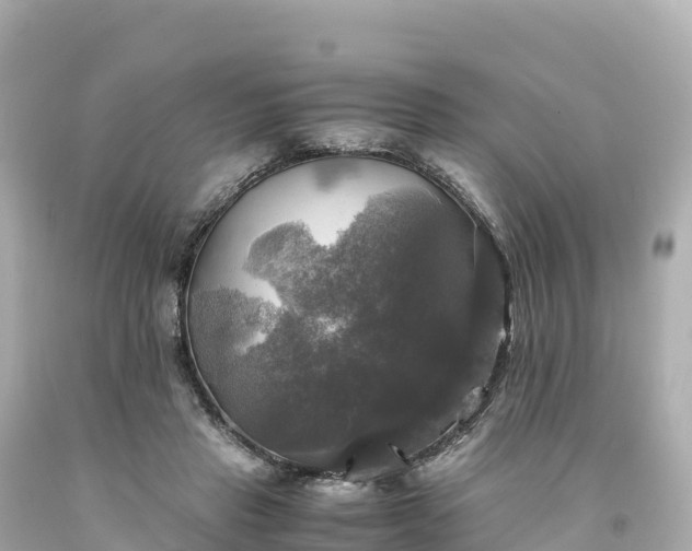 X0000094220453200711021143