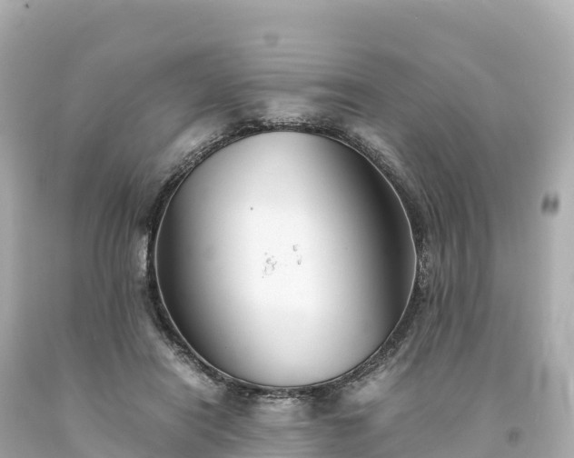 X0000094220454200711021143