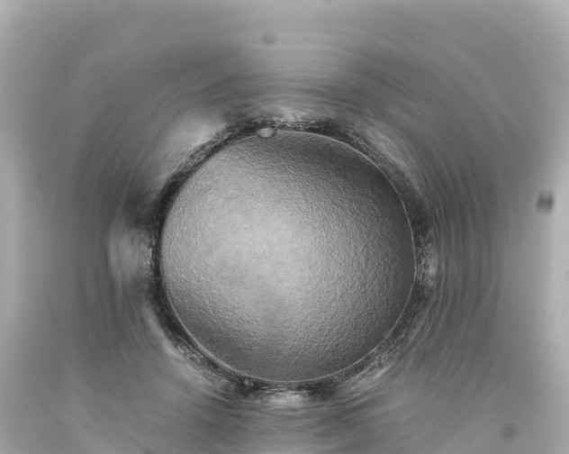 X0000094220456200711021143