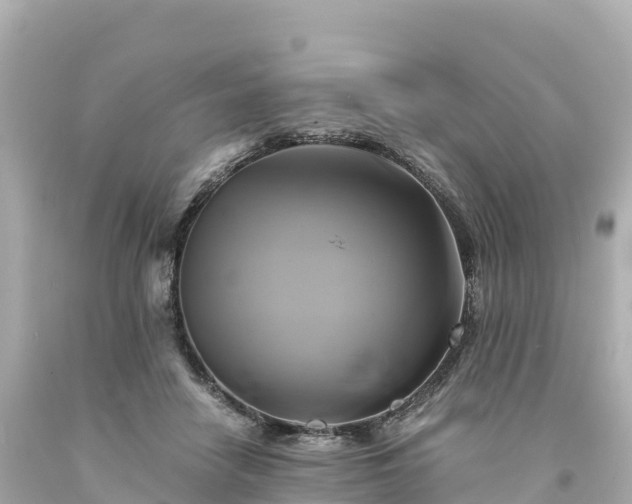 X0000094220458200711021143