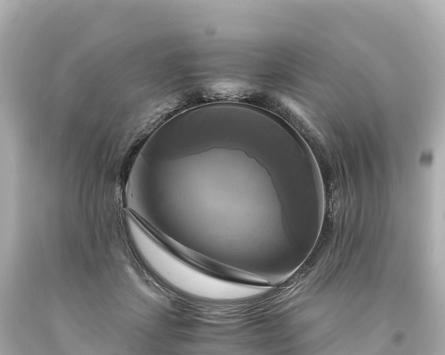 X0000094220459200711021143