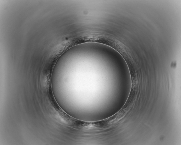 X0000094220460200711021143