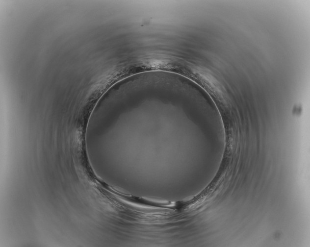 X0000094220461200711021143