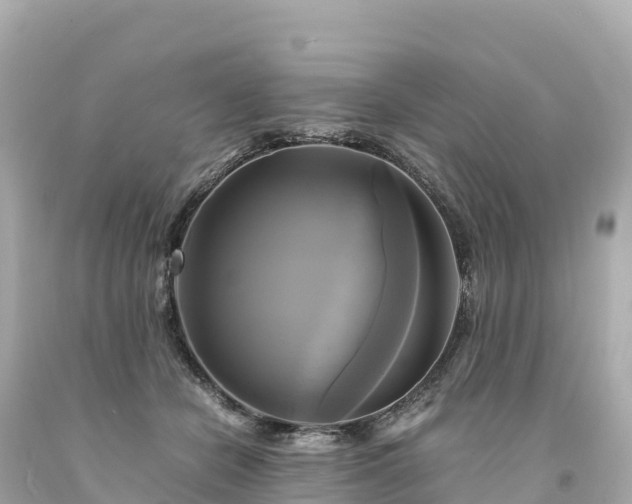 X0000094220462200711021143