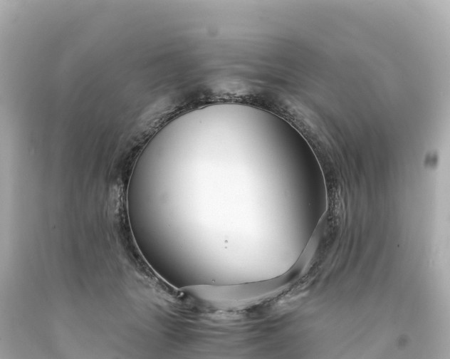 X0000094220463200711021143