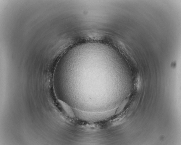 X0000094220464200711021143