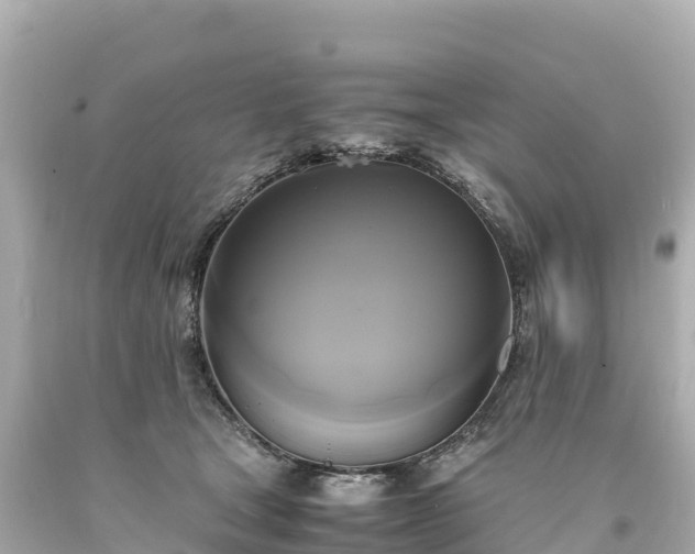 X0000094220465200711021143